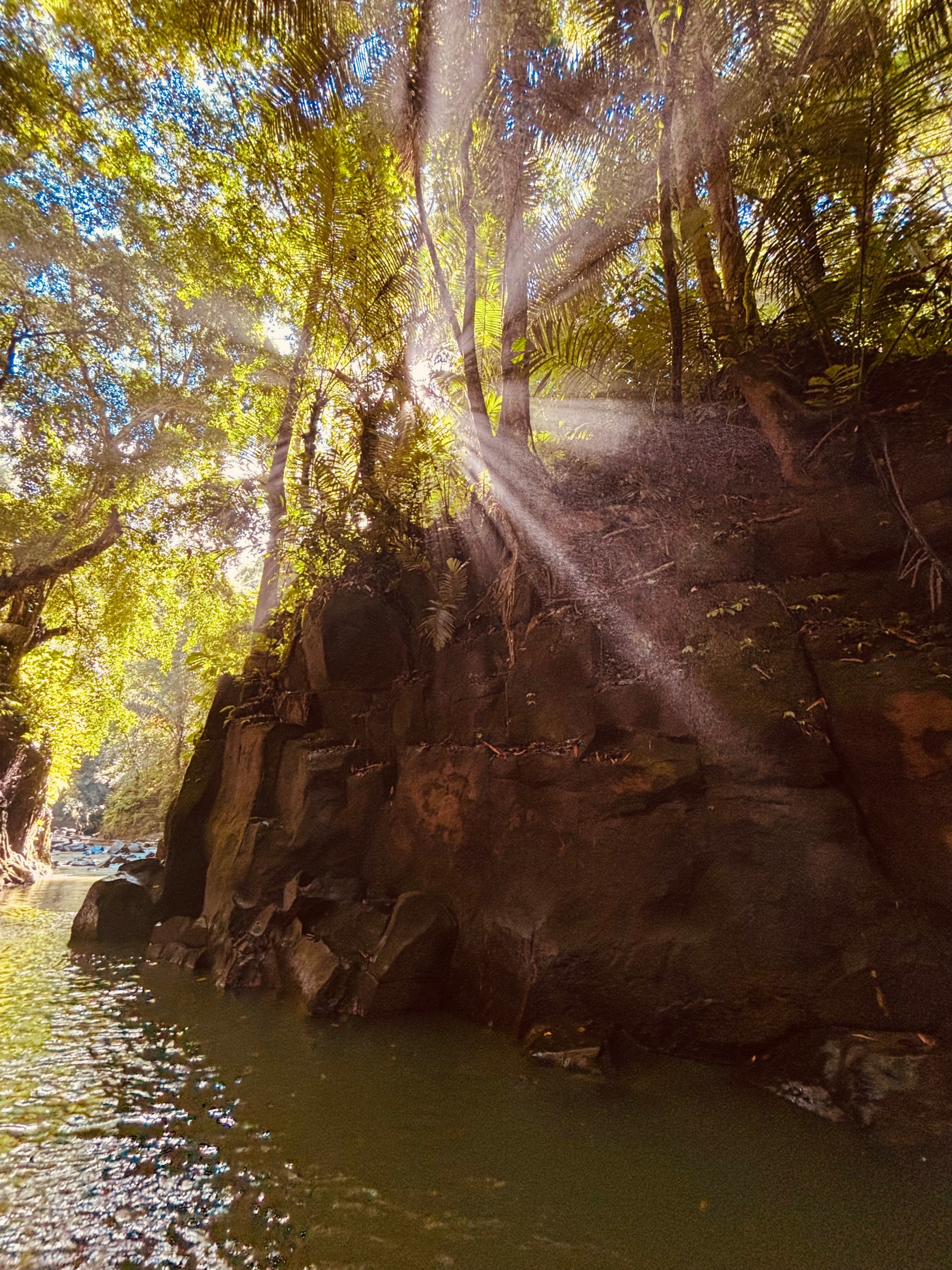 a picture of the of the beautiful jungle areas around the Kanto Lampo waterfall
