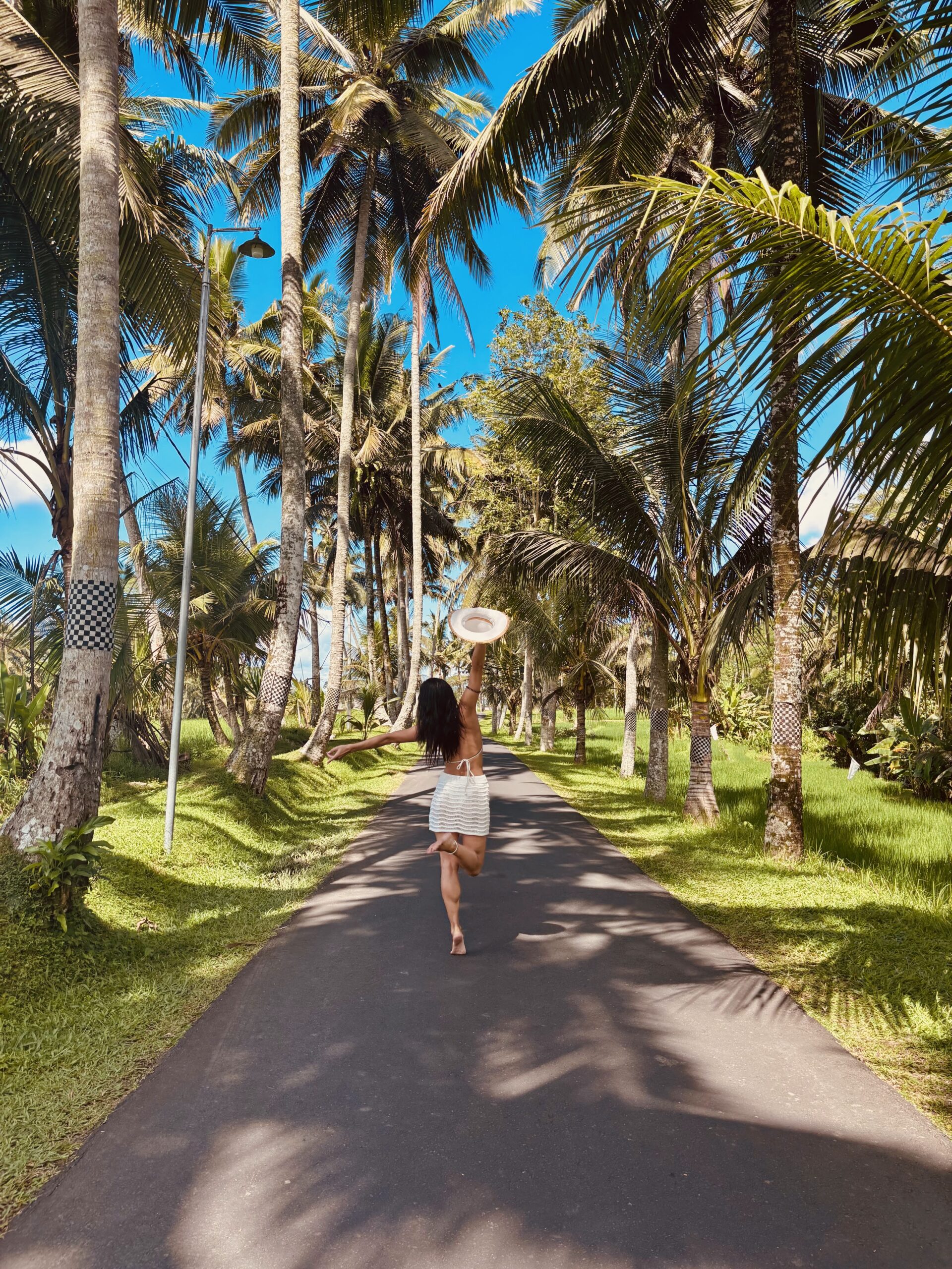 Scenic palm tree-lined road at Adilla’s Spot near Tibumana Waterfall, a popular photo stop.